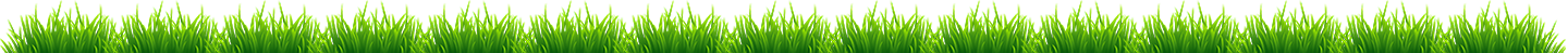 grass